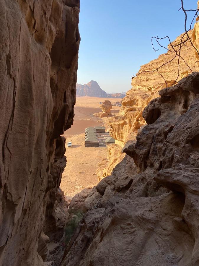 Desert Jewel Camp Wadi Rum Ngoại thất bức ảnh