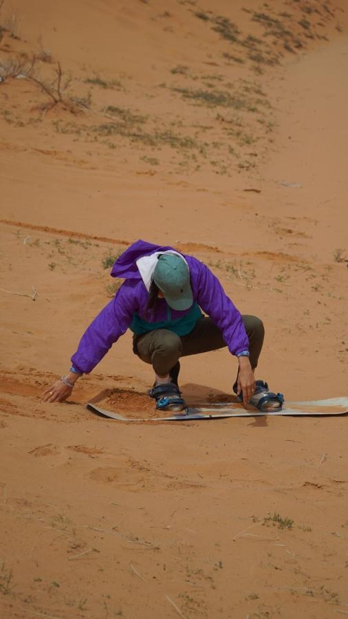 Desert Jewel Camp Wadi Rum Ngoại thất bức ảnh